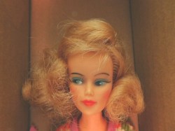 misty clairol b